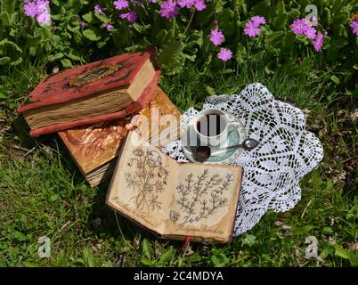 Libro con disegni botanici e tazza di tè in giardino. Sfondo esoterico, gotico e occulto con oggetti magici, mistico e fiaba concetto ou Foto Stock