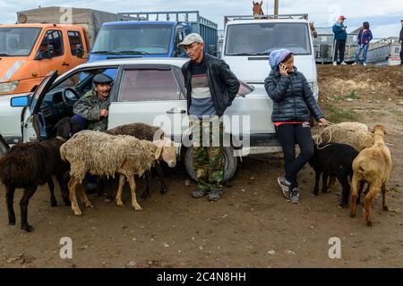 Mercato di animali in Karakol, Kirghizistan. Foto Stock