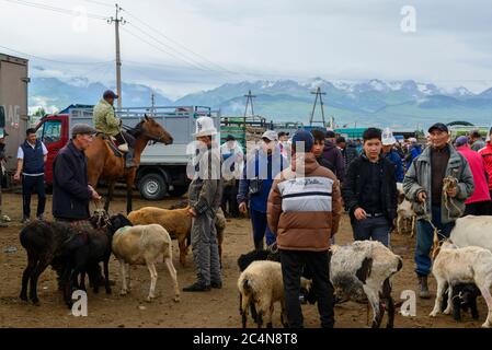 Mercato di animali in Karakol, Kirghizistan. Foto Stock