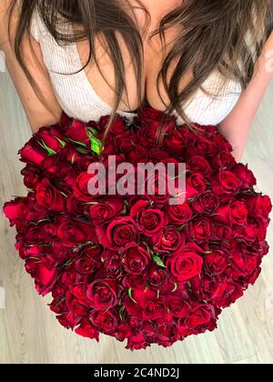 Una ragazza giovane che tiene in mano un bouquet enorme di 101 rose rosse meravigliose. Vista dall'alto Foto Stock