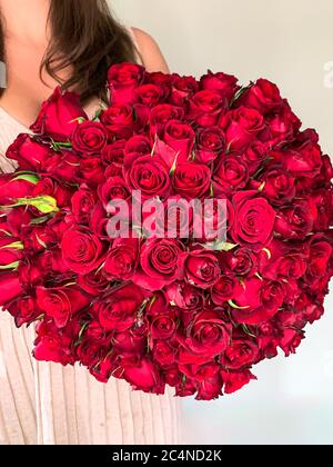 Una ragazza giovane che tiene in mano un bouquet enorme di 101 rose rosse meravigliose. Vista frontale Foto Stock