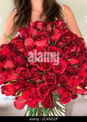 Una ragazza giovane che tiene in mano un bouquet enorme di 101 rose rosse meravigliose. Vista frontale Foto Stock