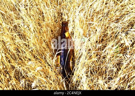bottiglia di vetro marrone sul campo di erba secca con spazio per la copia sul lato sinistro. Concetto per gli effetti del Littering sull'ambiente. Foto Stock