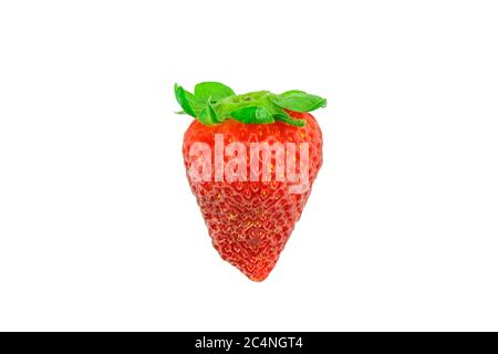 Singola fragola rossa matura isolata su sfondo bianco pronta per essere ritagliata con la selezione di bacchetta magica Foto Stock