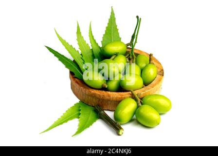 Frutta medicinale neem con ramoscelli su sfondo bianco Foto Stock