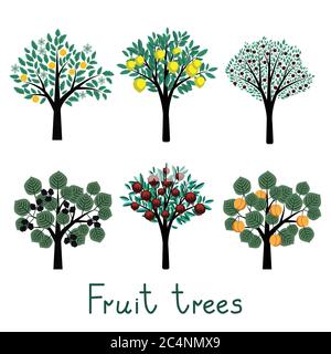 Vettore diverso decorativo semplice raccolta alberi da frutto Illustrazione Vettoriale