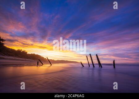 Bellissima alba di vecchi pali di pontile a St. Clair Beach a Dunedin, Nuova Zelanda. Foto Stock