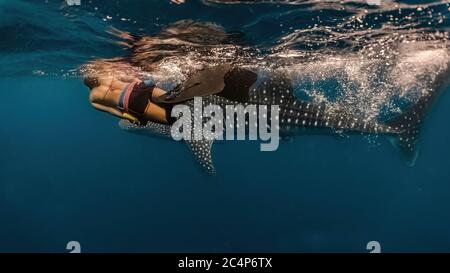 La giovane donna nuota con un enorme scalo. L'osservazione di Whaleshark è una famosa attrazione turistica a Pintuyan, Leyte meridionale, Filippine. Foto Stock