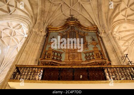 Almería, Andalusia, Spagna, Europa.. Catedral de Santa María de la Encarnación (Cattedrale di Santa Maria dell'Incarnazione). J XVI secolo - Rinascimento spagnolo. Uno dei due organi barocchi della chiesa (1772). Foto Stock