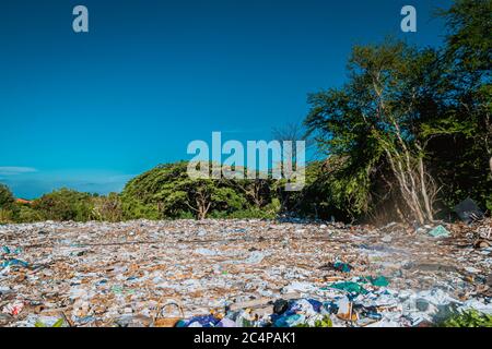 Rifiuti Keeper Terra rifiuti rifiuti rifiuti rifiuti rifiuti rifiuti ambientali. Scarico di rifiuti a terra area di foresta sporca. Foto Stock