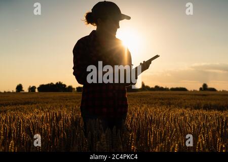 Silhouette di una donna contadina con un tablet digitale in un campo di grano. Agricoltura intelligente e agricoltura di precisione Foto Stock