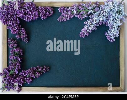 Bella foto di Lilac in Air Frame su sfondo nero con spazio libero per il tuo testo Foto Stock
