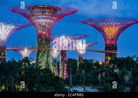 Vista notturna dei Giardini sulla Baia. Singapore Foto Stock
