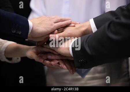 Concetto di lavoro di squadra, primo piano con le mani unite del team di uomini d'affari Foto Stock