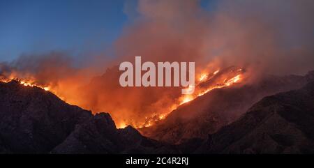 The Bighorn Fire, Catalina Foothills, Tucson, AZ 6-19-2020 Foto Stock