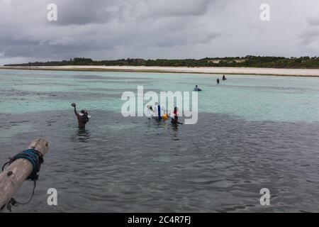Le guide turistiche guideranno attraverso l'acqua per pranzare su un piccolo Atol durante un viaggio di snorkeling a Zanzibar, Tanzania Foto Stock