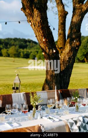 Set da tavolo per feste in giardino con bicchieri da vino, posate lucenti, fiori e candele. Vecchio albero che cresce vicino e avvolto con luci fairy. Festa moderna Foto Stock