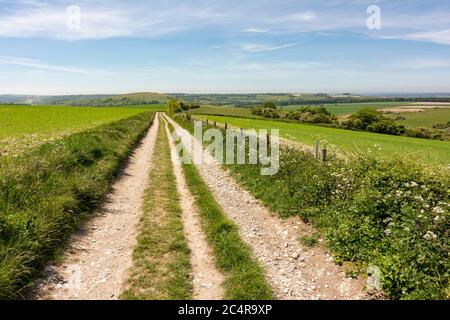 La strada di ponte che conduce da Chantry Post fino a Harrow Hill nel South Downs National Park, West Sussex, Inghilterra meridionale, Regno Unito. Foto Stock