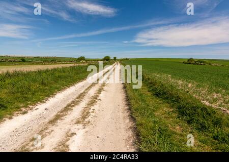 La strada di ponte che porta da Harrow Hill a Chantry Post nel South Downs National Park, West Sussex, Inghilterra meridionale, Regno Unito. Foto Stock