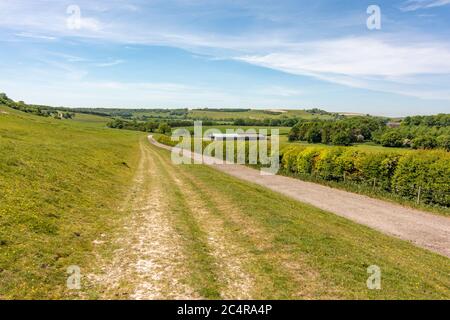 La strada di ponte che conduce da Chantry Post fino a Harrow Hill nel South Downs National Park, West Sussex, Inghilterra meridionale, Regno Unito. Foto Stock