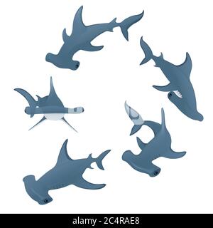 Squali a testa di martello nuotare in un cerchio subacqueo gigante animale semplice disegno di carattere cartoon piatto illustrazione vettoriale su sfondo bianco Illustrazione Vettoriale