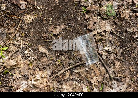 Tazze di plastica sparse sul terreno nella foresta Foto Stock