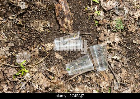 Tazze di plastica sparse sul terreno nella foresta Foto Stock