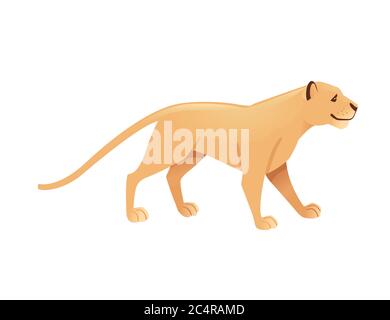Leonessa adulta african wild predatory Cat femmina leone cartoon cute animale disegno piatto vettore illustrazione isolato su sfondo bianco Illustrazione Vettoriale