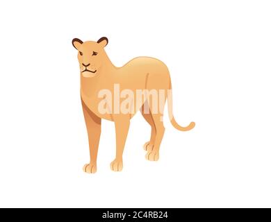 Leonessa adulta african wild predatory Cat femmina leone cartoon cute animale disegno piatto vettore illustrazione isolato su sfondo bianco Illustrazione Vettoriale