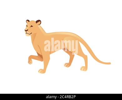 Leonessa adulta african wild predatory Cat femmina leone cartoon cute animale disegno piatto vettore illustrazione isolato su sfondo bianco Illustrazione Vettoriale