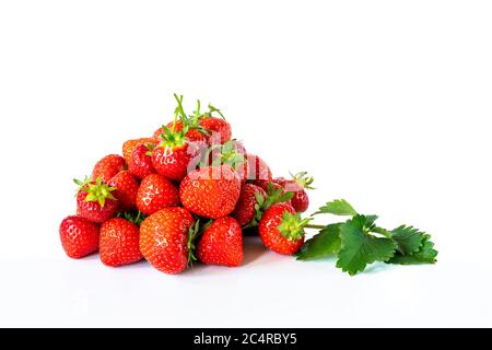 Un mucchio di fragole fresche isolato su sfondo bianco Foto Stock