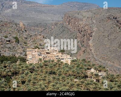 Le palme da dattero circondano il vecchio villaggio di al Misfah, Sultanato dell'Oman. Foto Stock