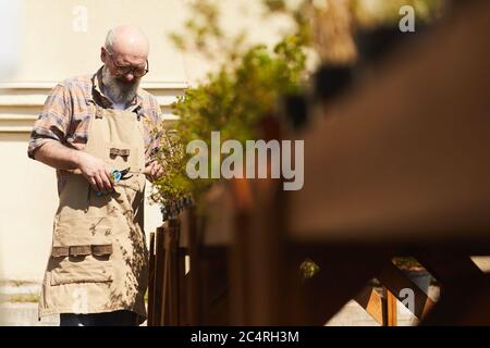 Vita ritratto di uomo anziano sopportato che si prende cura di piante mentre lavora in giardino esterno o piantagione, spazio di copia Foto Stock