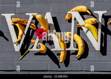 ‘Sedificio dell’Aia è bloccato di banane dopo un appello del gruppo d’azione «Tuggle for Freedom», che risponde al divieto di varie ‘manifestazioni di «Virus Madness» che il gruppo voleva tenere. I sostenitori ritengono che i Paesi Bassi siano diventati una repubblica delle banane con questa sentenza. Foto Stock