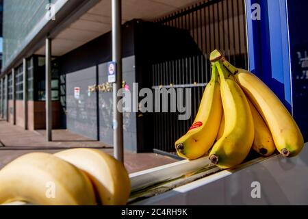 ‘Sedificio dell’Aia è bloccato di banane dopo un appello del gruppo d’azione «Tuggle for Freedom», che risponde al divieto di varie ‘manifestazioni di «Virus Madness» che il gruppo voleva tenere. I sostenitori ritengono che i Paesi Bassi siano diventati una repubblica delle banane con questa sentenza. Foto Stock