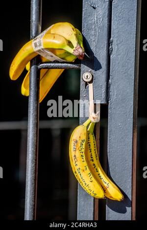 ‘Sedificio dell’Aia è bloccato di banane dopo un appello del gruppo d’azione «Tuggle for Freedom», che risponde al divieto di varie ‘manifestazioni di «Virus Madness» che il gruppo voleva tenere. I sostenitori ritengono che i Paesi Bassi siano diventati una repubblica delle banane con questa sentenza. Foto Stock