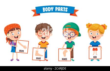 Bambino divertente che mostra le parti del corpo umano Illustrazione Vettoriale