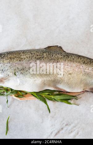 Preparazione di trote rifarcite con ricetta di dragoncello Foto Stock