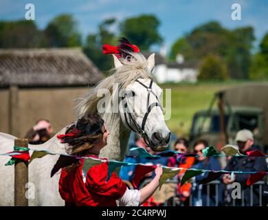 Donna in costume con cavallo; Les Amis D'Onno esibizione di squadra di stunt equestri all'evento di guerra, East Fortune, East Lothian, Scozia, Regno Unito Foto Stock