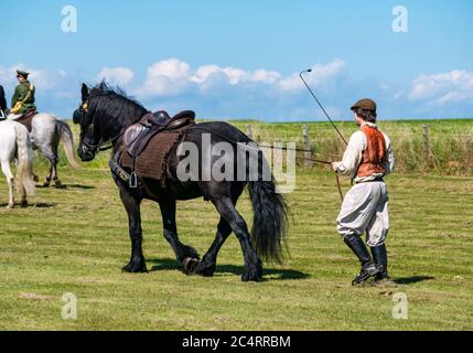 Uomo in costume d'epoca e cavallo Clydesdale, squadra di stunt equestri Les Amis D'Onno all'evento Wartime Experience, East Fortune, East Lothian, Scozia, Regno Unito Foto Stock