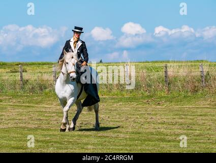 Donna in costume edoardiano che cavalcano il cavallo bianco; squadra di stunt equestre Les Amis D'Onno all'evento bellico, East Fortune, East Lothian, Scozia, UK Foto Stock