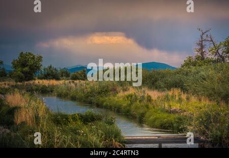 Alamosa National Wildlife Refuge in primavera Foto Stock