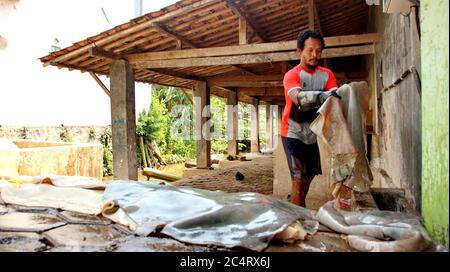 Il processo di taglio della pelle prima che venga lavorata per la produzione di conceria per l'industria, Batang Indonesia, 27 giugno 2020 Foto Stock