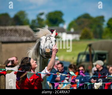 Donna in costume con denti da allevamento; squadra di stunt equestri Les Amis D'Onno all'evento bellico, East Fortune, East Lothian, Scozia, UK Foto Stock