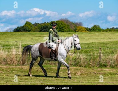 Soldato in uniforme a cavallo; squadra di stunt equestri Les Amis D'Onno all'evento bellico, East Fortune, East Lothian, Scozia, Regno Unito Foto Stock