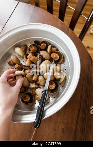 La mano delle donne tiene un coltello nelle mani e i funghi si trovano davanti a lei Foto Stock