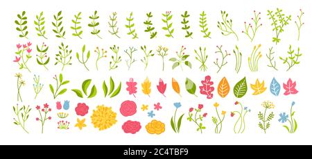 Orto botanico fiore, ramo e foglia. Astratti diversi elementi di design floreale. Colorata cartoni animati floreali eco collezione. Bellissimi fiori isolati. Illustrazione vettoriale Illustrazione Vettoriale