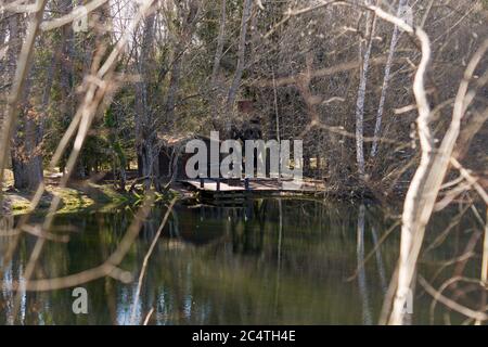 Bellissimo scatto di un lago riflettente circondato da un denso foresta Foto Stock