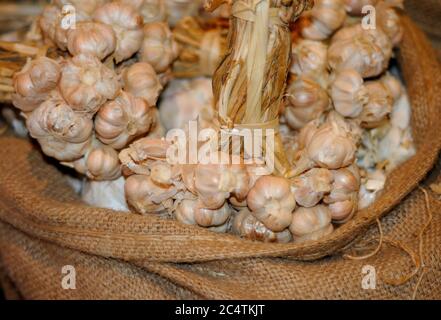 Trecce di aglio in un sacco piccolo Foto Stock