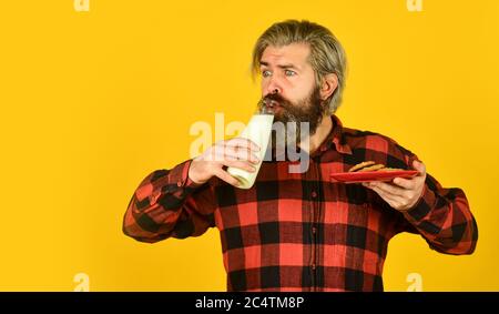 buon contadino mangiare biscotto dessert. uomo bearded bere latte utile con pasticceria. Cibo e bevande di Natale. Biscotti e latte di Natale. Freddo Natale coziness concetto. Ammollo sul latte Foto Stock